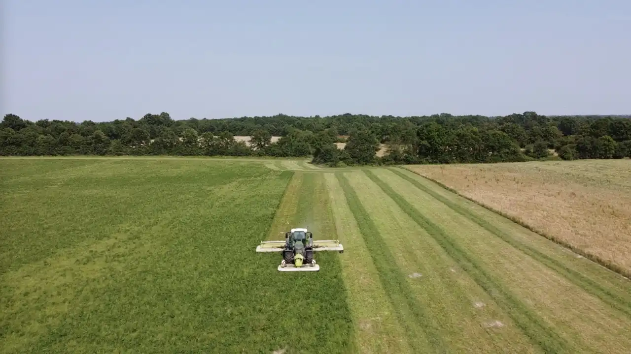 img-contenu (5) Large